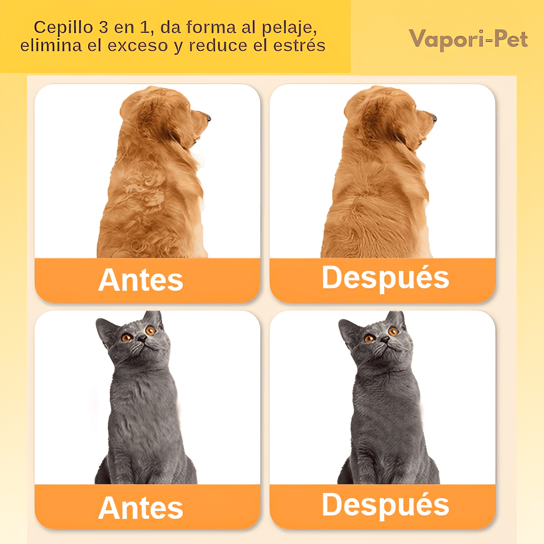 Petcare - Cepillo Ortopedico -  Compra 1 y Llévate 2 GRATIS 🎁