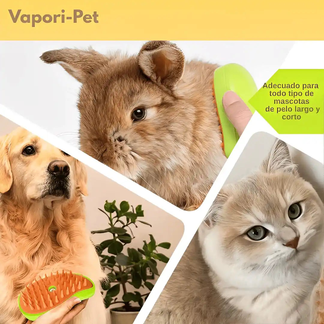 Petcare - Cepillo Ortopedico -  Compra 1 y Llévate 2 GRATIS 🎁