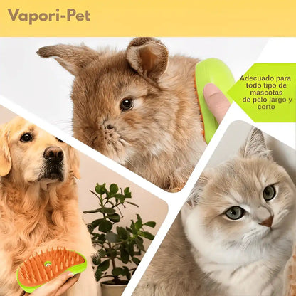Petcare - Cepillo Ortopedico -  Compra 1 y Llévate 2 GRATIS 🎁